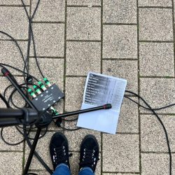 Geburtstag Raupe Immersatt