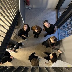 Eine letzte Mini-Probe